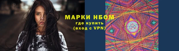 прущие грибы Баксан