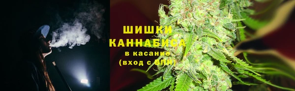 прущие грибы Баксан