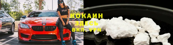 крисы Балахна