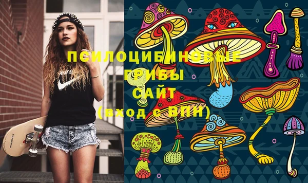 прущие грибы Баксан