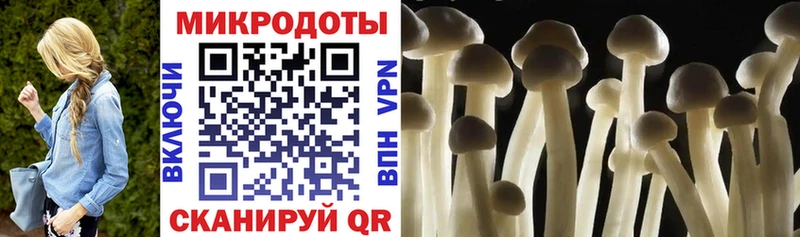 Галлюциногенные грибы MAGIC MUSHROOMS  Сортавала 